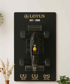 Quadro+capacete Airton Lottus